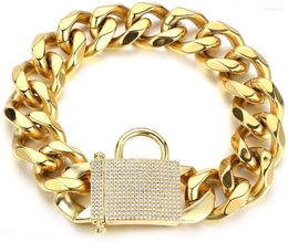 Dog Collars 23mm Heavy Big Gold Tone 316L Stainless Steel Curb Cuban Link Chain Collar For Small Medium Large