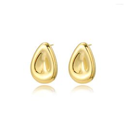 Stud Earrings 2023 Desinger Bold Stereoscopic Pear Drop Shape For Woman 18K Gold Plated Chunky Earring