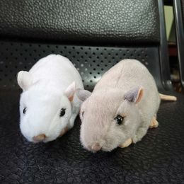 Plush Dolls 17 Long Real Life Small White Mouse Plush Toy Realistic Grey Mice Stuffed Animals Toys Lifelike Rat Toy Gifts For Kids Pets 230711