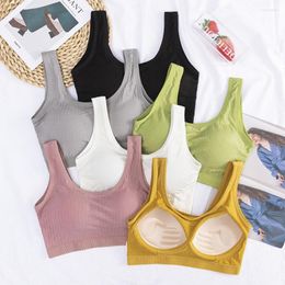 Yoga Outfit Solid Seamless Push-up Sports Bras For Women Wire Free Bralette Woman Running Bra Beauty Back Top Cotton Fitness Underwear