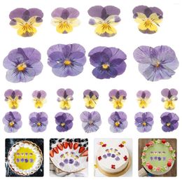 Storage Bottles 24 Pcs Nail Decorations Crafts Natural Flower Material Pressed Jewellery Dried Flowers Making Petals Tiny