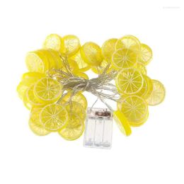 Strings Chirstmas Decoration Lemon Light String LED Garland Indoor Use Battery/Usb Holiday Fairy Lights For Wedding Year