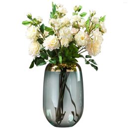 Vases Flower Glass Vase Decorative Bottle Planter Pot Modern Table Centrepieces Container For Desktop Decor