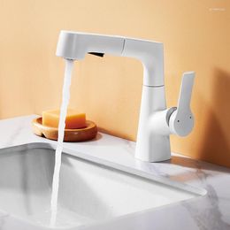 Bathroom Sink Faucets Free Lifting Faucet Drawing Design For 2 Kinds Of Water Basin Cold Double Control