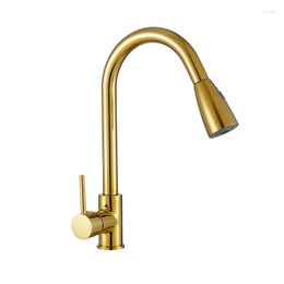 Kitchen Faucets Full Copper Gold Faucet Pull-out Sink And Cold Household Pull Down