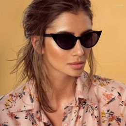 Sunglasses DCM Fashion Small Cat Eye Women Brand Designer Vintage Gradient Female Sun Glasses UV400
