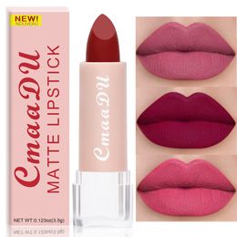 Lipstick 15 Colors Matte Lipsticks Waterproof Long Lasting Sexy Red Lip Stick Makeup Brown Velvet Pigments Tint Profissional Cosmetic 230712