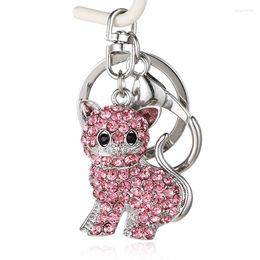 Keychains Keychain The Latest Key Chain Car Keyring Ladys Bag Small Gift Lovely Kitty Pendant.