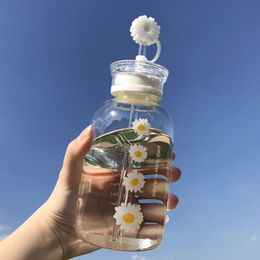 Water Bottles Glass Bottle with Straw Creative Daisy FrostedTransparent Cup Leakproof Portable Drinking a Sealing Cap Lid 230714