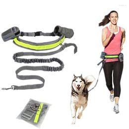 Dog Collars Pet Elastic Belt Puppy Leash Adjustable Padded Waist Reflective Running Jogging Walking Lead With Pouch Bags