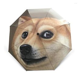 Umbrellas UV Protection Creative Automatic Umbrella Animal Husky Dog Pattern Parasol Glass Fiber Sunny Rainy