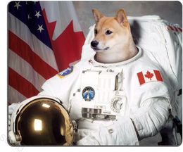 Comptuer Mouse pad Funny Doge Astronaut Work Mouse pad