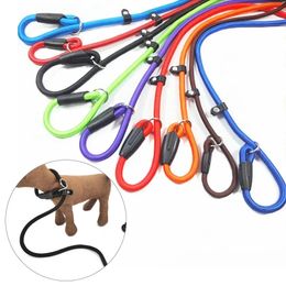 Pet Leashes Nylon Dog Leash Pet Puppy Slip Lead Rope Dog Slip Leash Chain Collar Adjustable Dog Training Leash for Small Dog