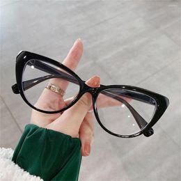 Sunglasses Fashion Leopard Print Anti Blue Light Glasses Women Clear Solid Colour Frame Computer Goggles Eyeglasses Flat Mirror Eyewear