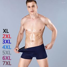 Underpants 61 Summer Male Underwear Modal Breathable Comfortable Convex Pouch Cotton Boxers Men Solid Shorts