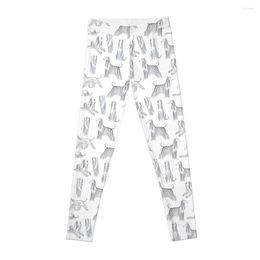 Aktive Hose Afghan Hounds Muster Leggings Jogginghose Damen Sport Yoga