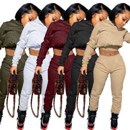 Sweatpants Womens Joggers Set Plain 2 Piece Crop Top Tracksuit Sweat Pants Fall Two with Hoodie