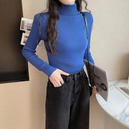 Women's Sweaters Autumn/winter Plus Velvet Turtleneck Sweater Pullover Long-sleeved Striped Slim Slimming Knit Bottoming Shirt