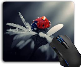 Mouse Pad,Beautiful Nature Computer Mouse Pads Desk Accessories Non-Slip Rubber Base,Mousepad for Laptop Mouse