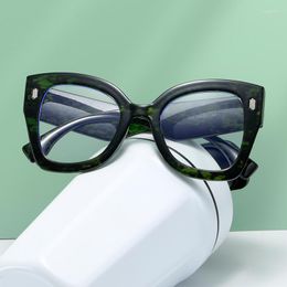 Sunglasses Large Frame Anti-blue Light Glasses Fashion No Degree Cat Eye Computer Work Study Men's And Women's