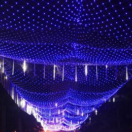 Large Size 10MX8M 2000 Led Net Mesh String Light Xmas Christmas Light New Year Garden Lawn Wedding Holiday Lighting Decoration EU 262k