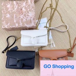 Summer Small Square Bag High-End Luxury Dionysian Cross-Body Bags Versatile Crossbody Bags