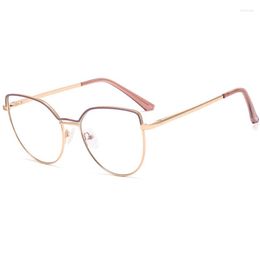 Sunglasses Colour Splicing Metal Glasses Frame Women Cat Eye Anti-Blue Light Customizable Prescription Lenses