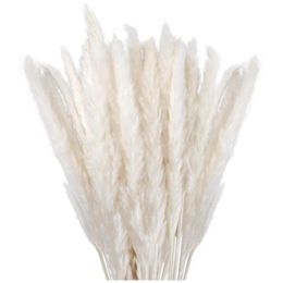 Decorative Flowers & Wreaths Dried Pampas Grass Decor Small Fluffy 30 Pcs 45CM Natural White For Vase Flower Bouquet Arrangement249B