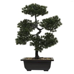 Decorative Flowers Simulation Tree False Ornaments Bonsai Small Pots Indoor Guest-Greeting Pine Plants Pot