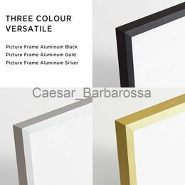 Frames Gold Black Silver Metal Floating Painting Picture Frames Canvas Prints Oil Paint Wall Art Gallery Living Room Home Simple Decor x0715