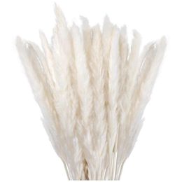 Decorative Flowers & Wreaths Dried Pampas Grass Decor Small Fluffy 30 Pcs 45CM Natural White For Vase Flower Bouquet Arrangement237h