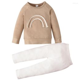 Clothing Sets 2Piece Spring Autumn Baby Toddler Girl Outfits Set Casual Cotton Long Sleeve Kids T-shirt Pants Born Clothes BC363