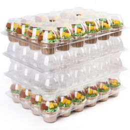 Disposable Take Out Containers 24 Count Cupcake Pack of 10 Plastic Boxes 230714