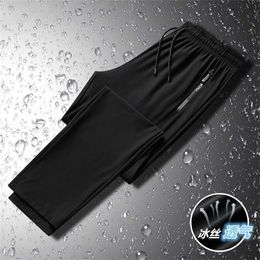 Ice Silk Pants Men's Summer New Quick Drying Long Thin Loose Air Conditioned Elastic Closure Large Casual Sports Pantsrvni