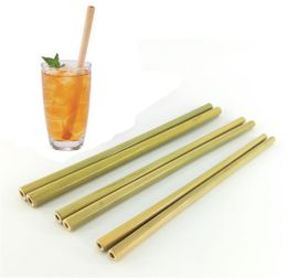 Good Quality 20cm Reusable Yellow Colour Bamboo Straws Eco Friendly Handcrafted Natural Drinking Straw JL1242