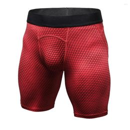 Men's Shorts 2023 Men Compression Tights Quick Dry Fitness Running Gym Sportswear Pants Sports Male Beach