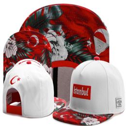 Snapbacks Ball Hats Fashion Street Headwear adjustable size Cayler & Sons custom football baseball caps drop ship top quality b21261J