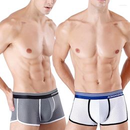 Underpants Ice Silk Mens Underwear Soft Mesh Breathable Sexy Boxer Shorts Penis Sport Panties Pouch Bag Man Gay