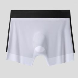 Underpants Men Panties Thin Trace-less Bag Protective Nylon Ice Silk Underwear Accessory