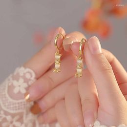 Orecchini a cerchio vintage opale bambù per donna zircone rame ispessito placcato oro 14 carati designer orecchini pendenti gioielli originali