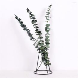 Decorative Flowers 10 Stems Samll Leaves Natural Plants 50cm Tall Dried Eucalyptus Branches Wedding Home Decor Flower No Vase