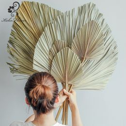 Faux Floral Greenery Koko Flower Natural Palm Leaf Dried Flowers Arch Wedding Home Fall Decor Window Reception Party Art Hanging Arrangement Fan Leaf 230714