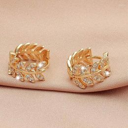 Hoop Earrings Leaves Shape Rhinestone Surround Round Lovers Circle Ear Ring Women Crystal Small Earring Jewellery Gift