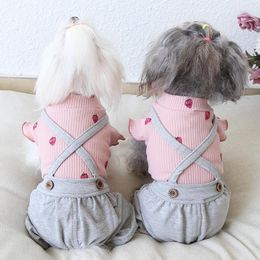 Dog Apparel Clothes Strawberr Striped Cotton Cat Jumpsuit Jacket Coat PET Clothing For Dogs Winter Products Puppy Chihuahua