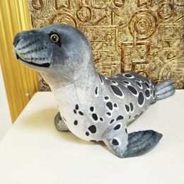 Plush Dolls Simulation Seal Sea Animal Children Plush Stuffed Toy Birthday Christmas Gift 230714