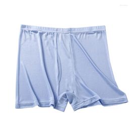 Underpants 2023 Real Silk Panties Men Brief Underwear Man High Quality Brand Natural Fabric