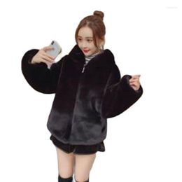 Women's Fur Casual Coat Womens Autumn And Winter 2023 Fashion Warm Hooded Imitation Fluffy Loose Short Mao Tide