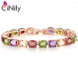 Link Bracelets CiNily Luxury Multicolor Charm Bracelet CZ Stones Rose Gold Colour Fashion Round For Women Jewellery Wedding Party Gift