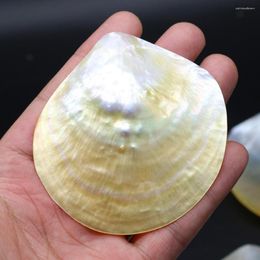 Pendant Necklaces Fashion Natural Shell Charms Mother Of Pearl Sea No Hole For DIY Necklace Accessories Jewelry Making Supplies Gift