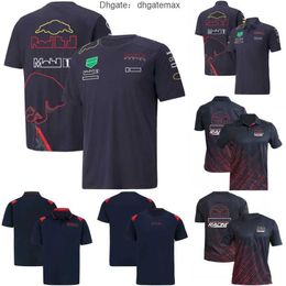 2022 F1 RedBulls Polo Shirt T-Shirt Formula 1 T-Shirts Racing Driver Quick Dry Jersey Summer Casual Men's Women's Brand T Shirt Tops